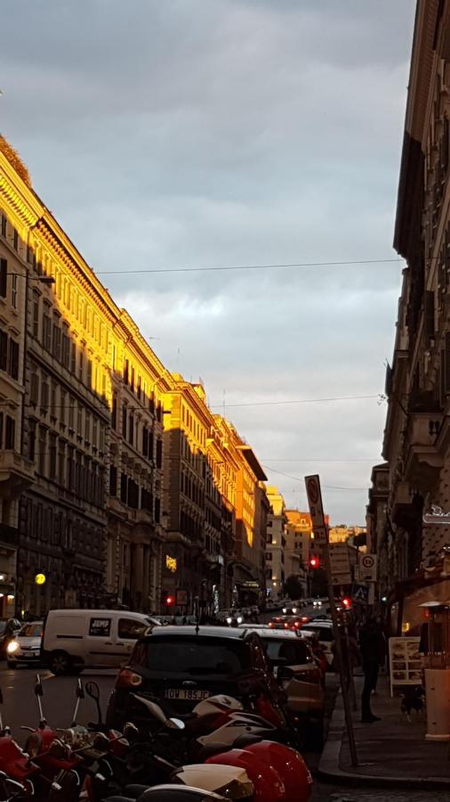 Gasthof Domus Ferraro Rom